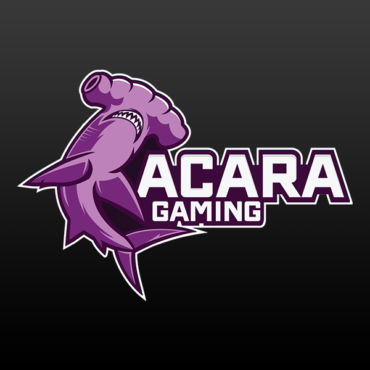 AcaRa Gaming