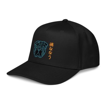 Through Ruin - DTF Snapback Hat