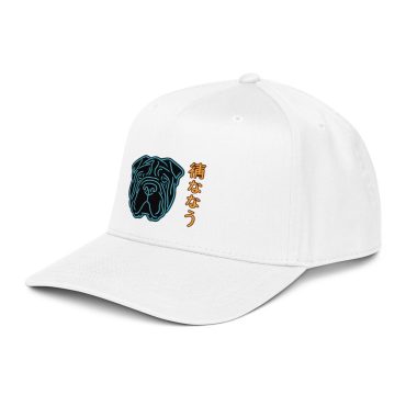 Alternative view of Through Ruin - DTF Snapback Hat