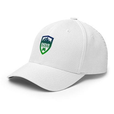 ENDVR Esports - DTF Flexfit Hat