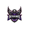 Skyhawks - Die-Cut Stickers