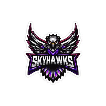 Skyhawks - Die-Cut Stickers