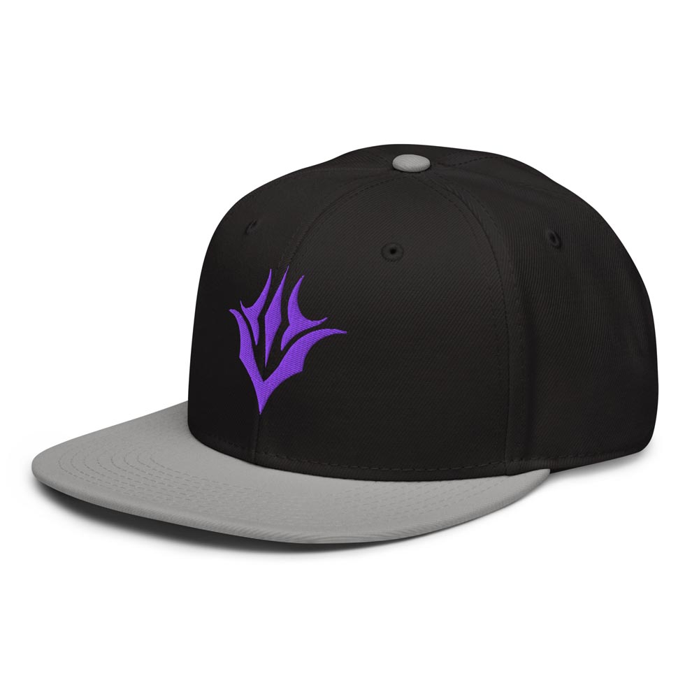 Vault IX - Snapback Hat - Image 6
