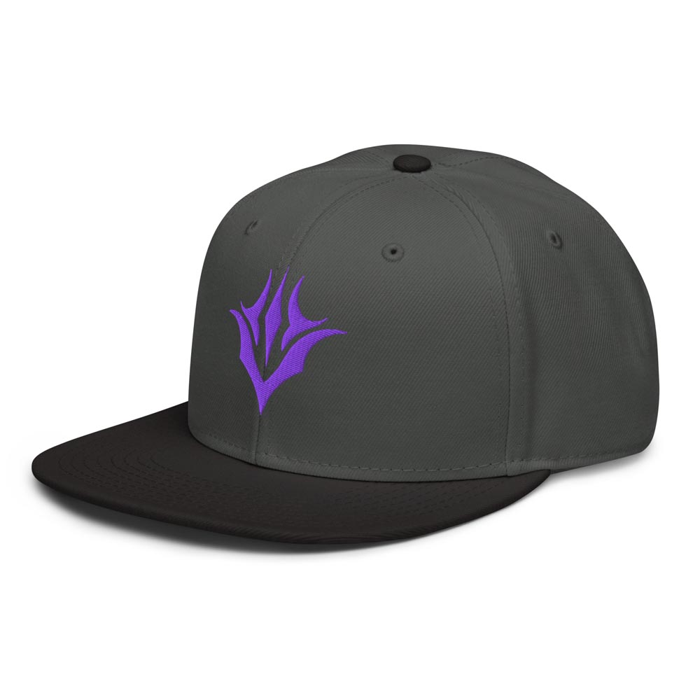 Vault IX - Snapback Hat - Image 5